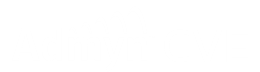 Admyn CVE Logo